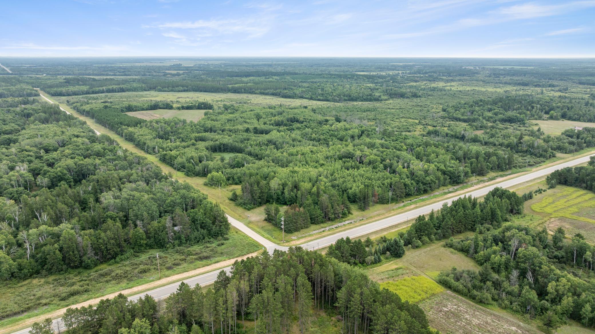 land for sale at 16921 320th Street in Menahga, MN (photo 45 of 53)