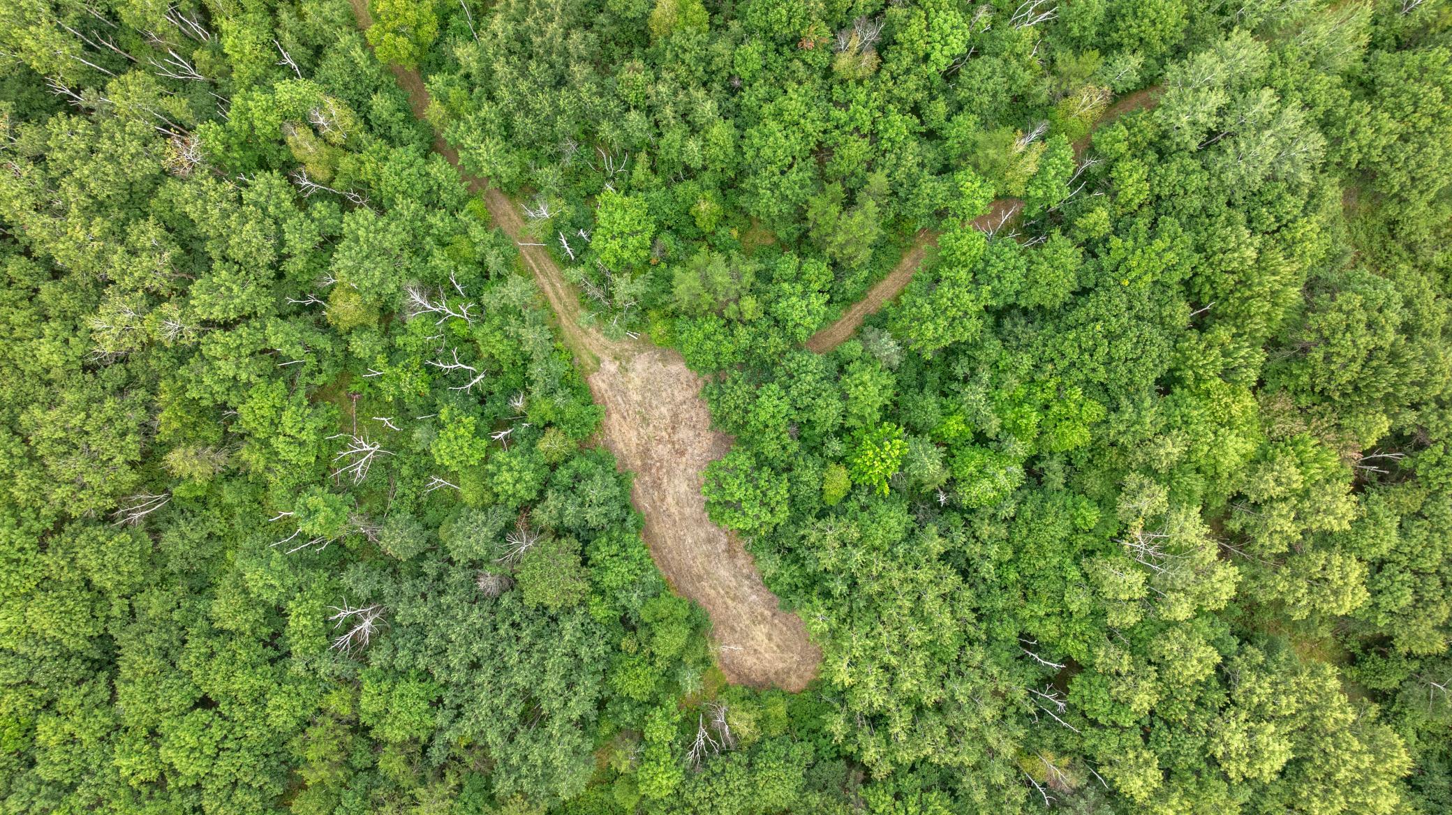 land for sale at 16921 320th Street in Menahga, MN (photo 6 of 53)