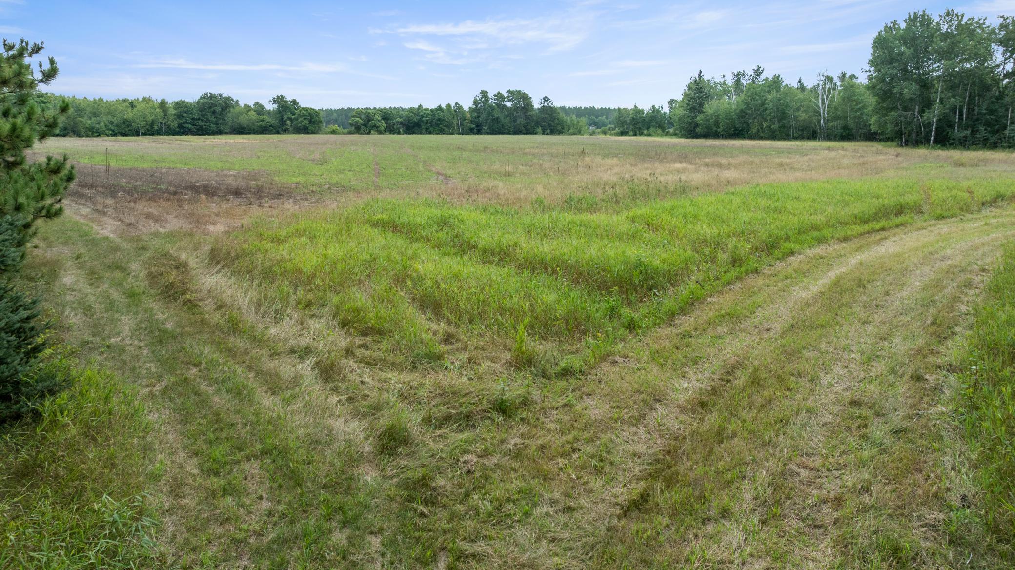 land for sale at 16921 320th Street in Menahga, MN (photo 7 of 53)