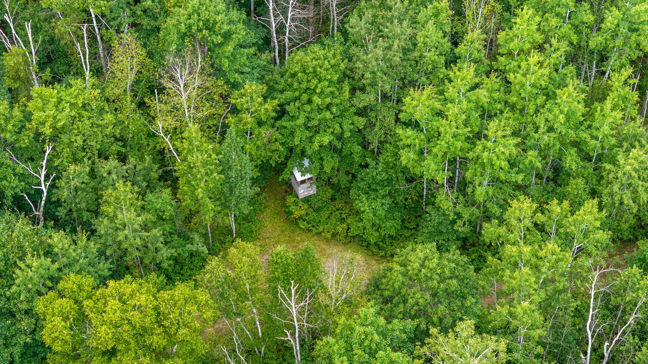 land for sale at 16921 320th Street in Menahga, MN (photo 9 of 53)