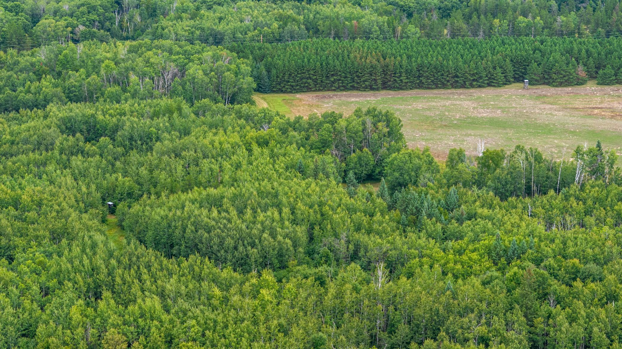 land for sale at 16921 320th Street in Menahga, MN (photo 10 of 53)