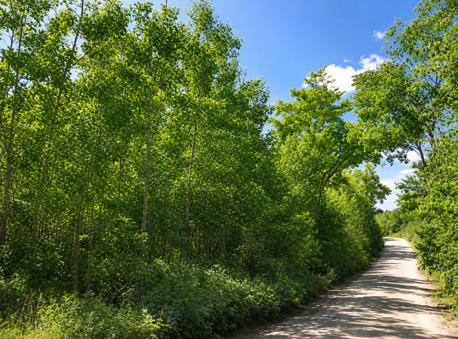 land for sale at TBD S Boy Lake Drive NE in Remer, MN