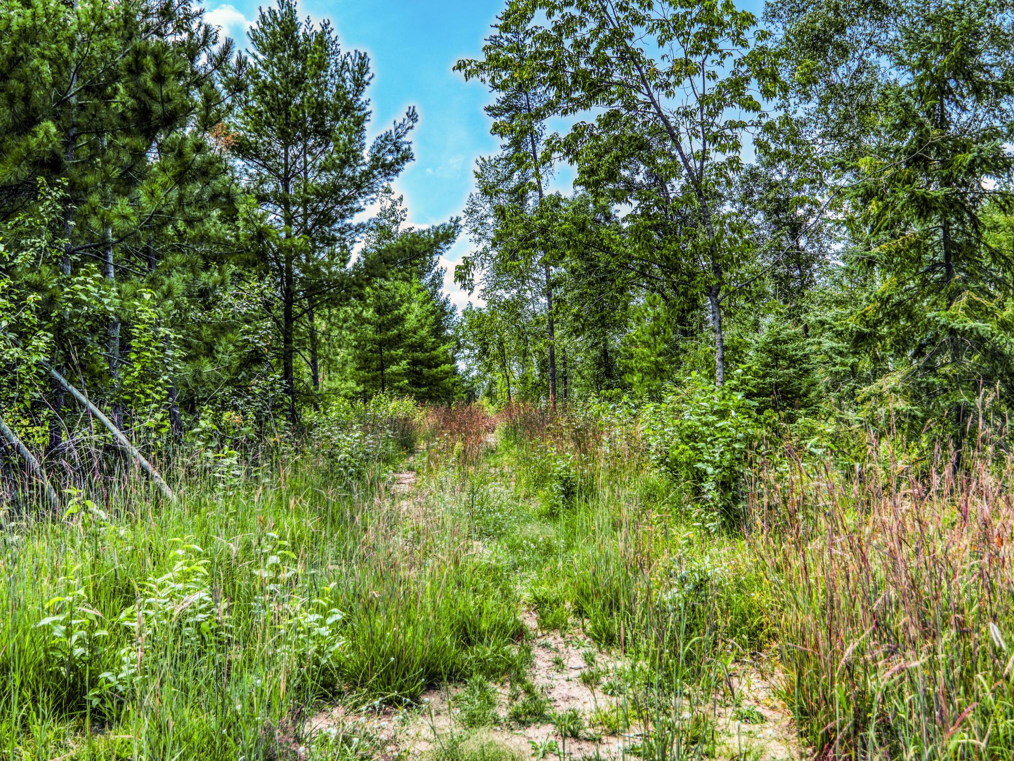1979 single family home for sale at 1902 Lakeview Drive SW in Bemidji, MN — 2 bed, 2 bath (photo 47 of 58)