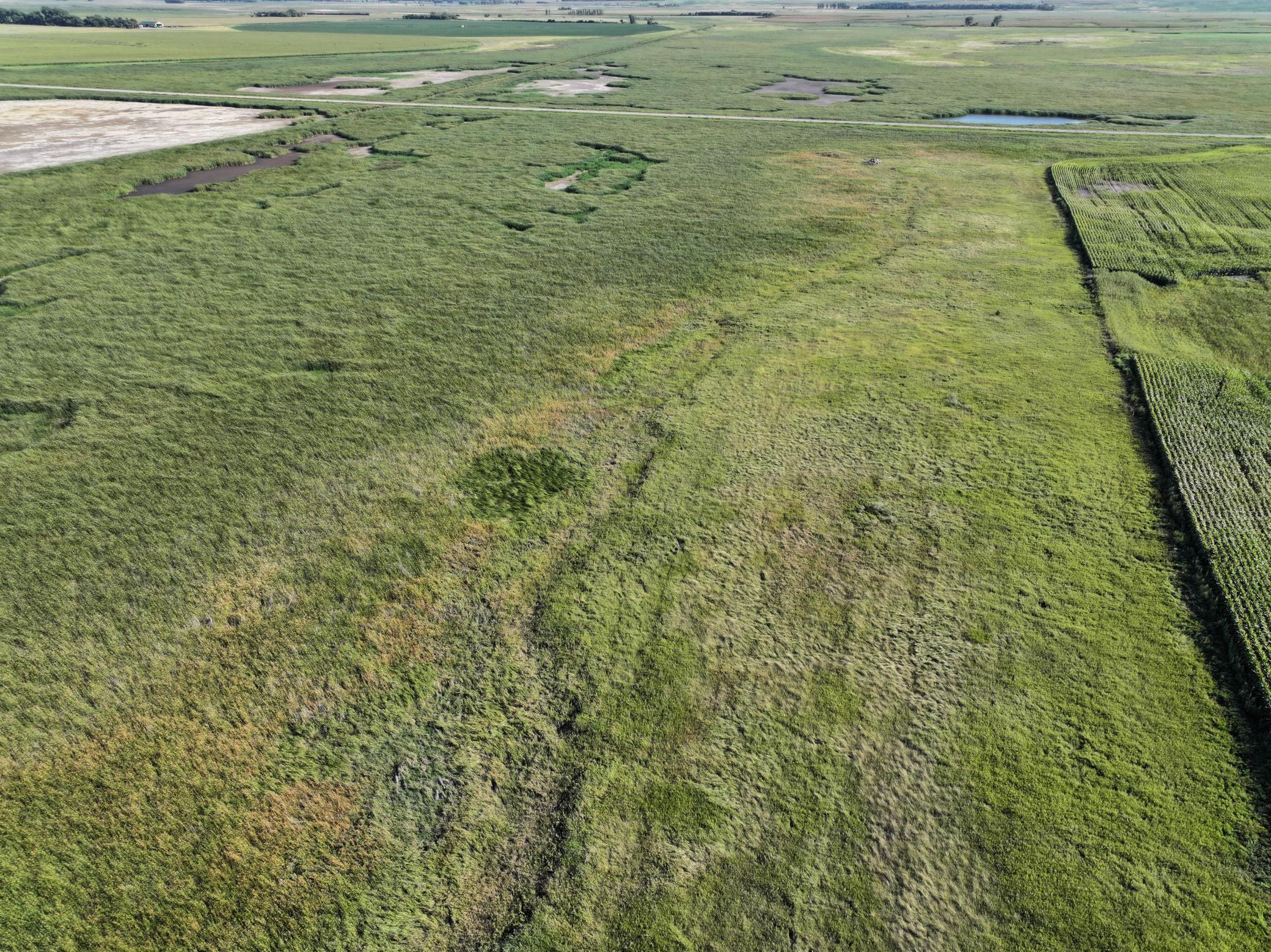 land for sale at TBD State Hwy 13 in Stirum, ND (photo 13 of 28)