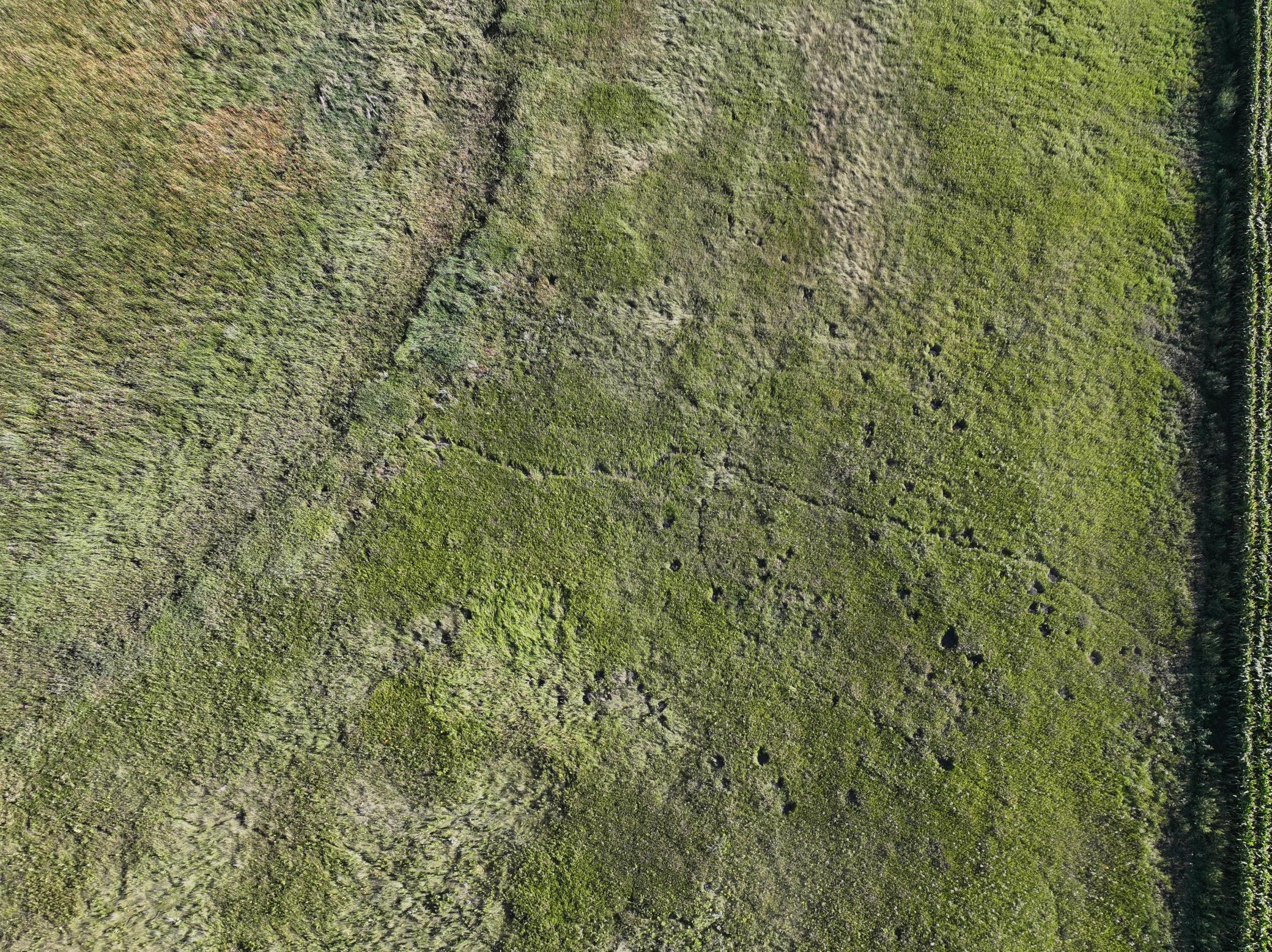 land for sale at TBD State Hwy 13 in Stirum, ND (photo 14 of 28)