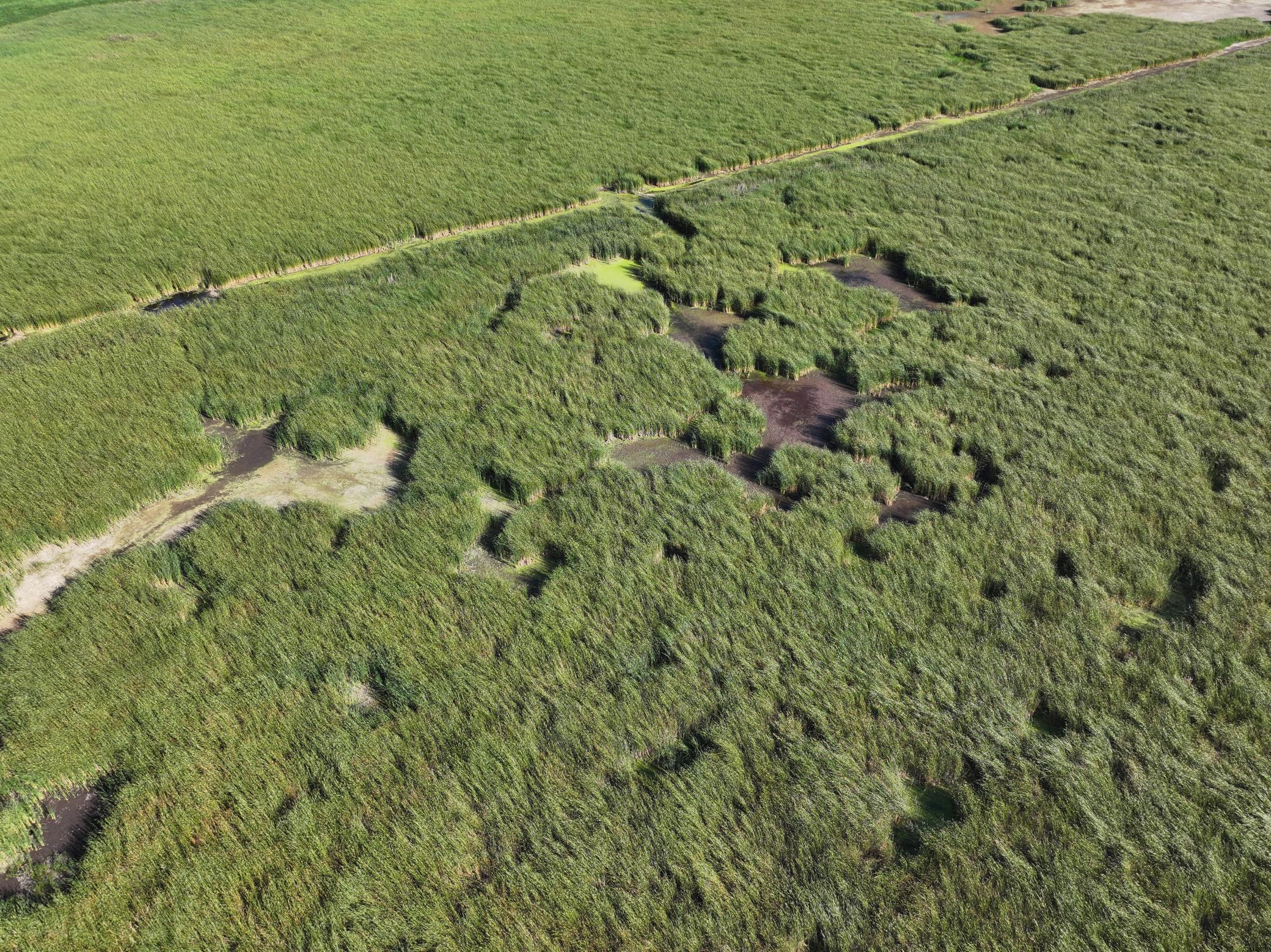 land for sale at TBD State Hwy 13 in Stirum, ND (photo 17 of 28)