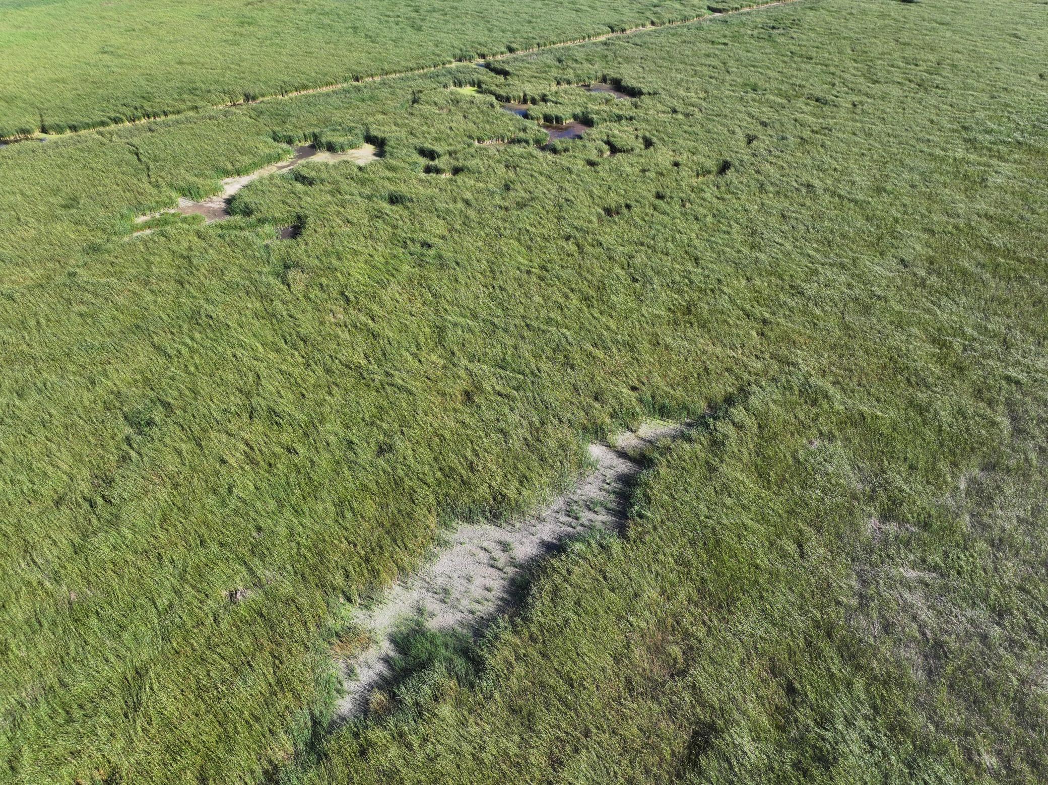 land for sale at TBD State Hwy 13 in Stirum, ND (photo 18 of 28)