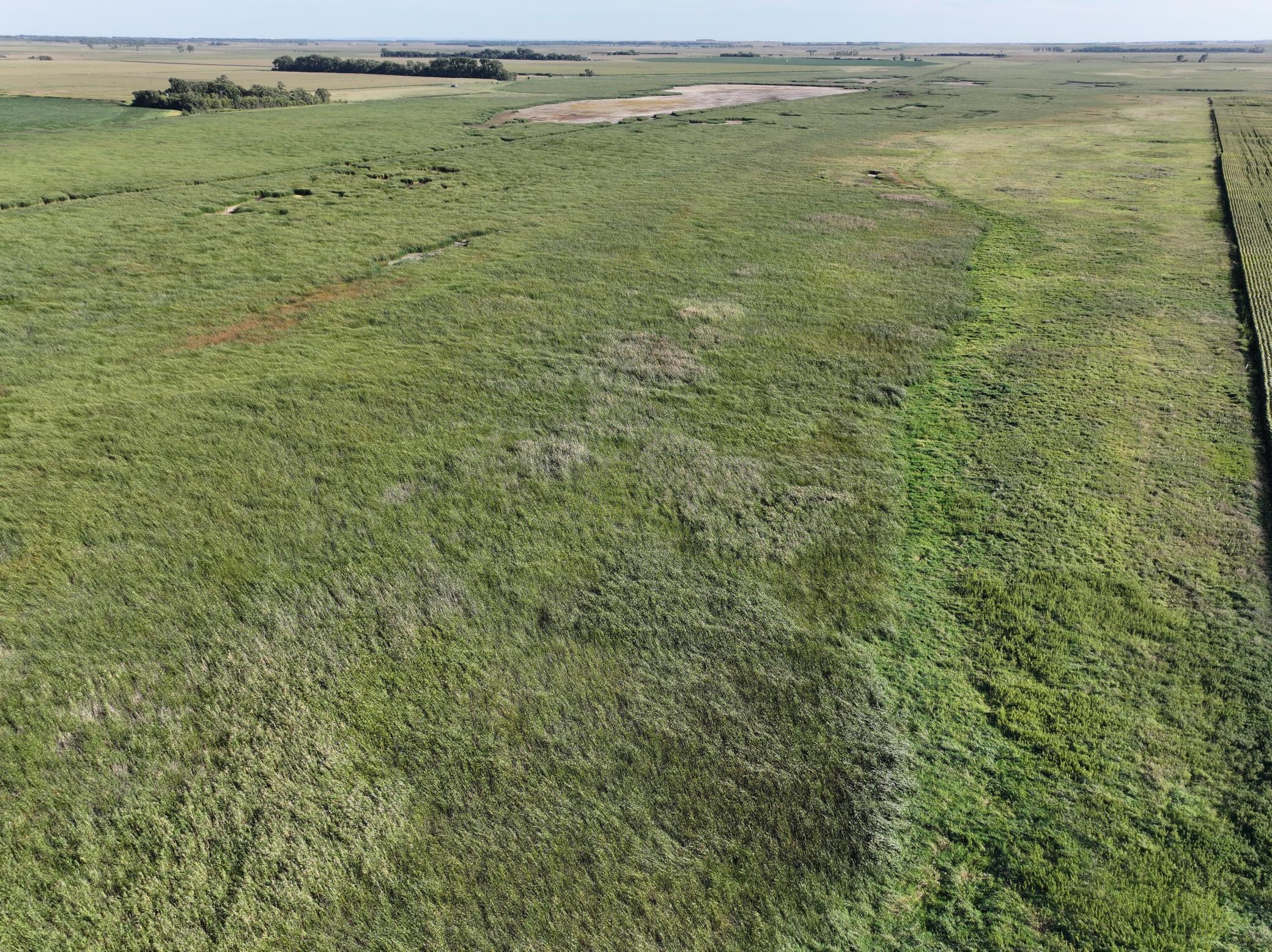 land for sale at TBD State Hwy 13 in Stirum, ND (photo 19 of 28)
