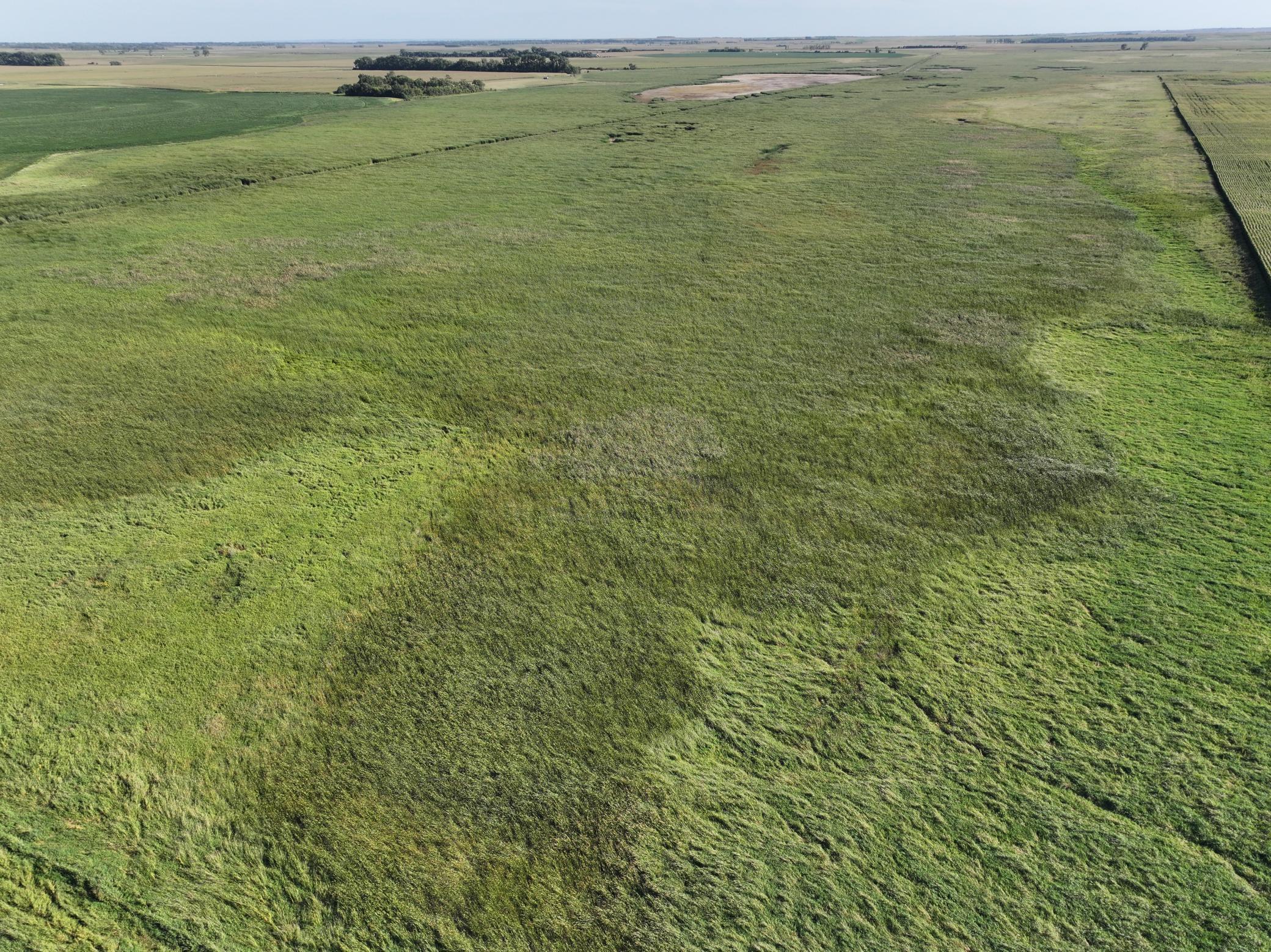 land for sale at TBD State Hwy 13 in Stirum, ND (photo 21 of 28)