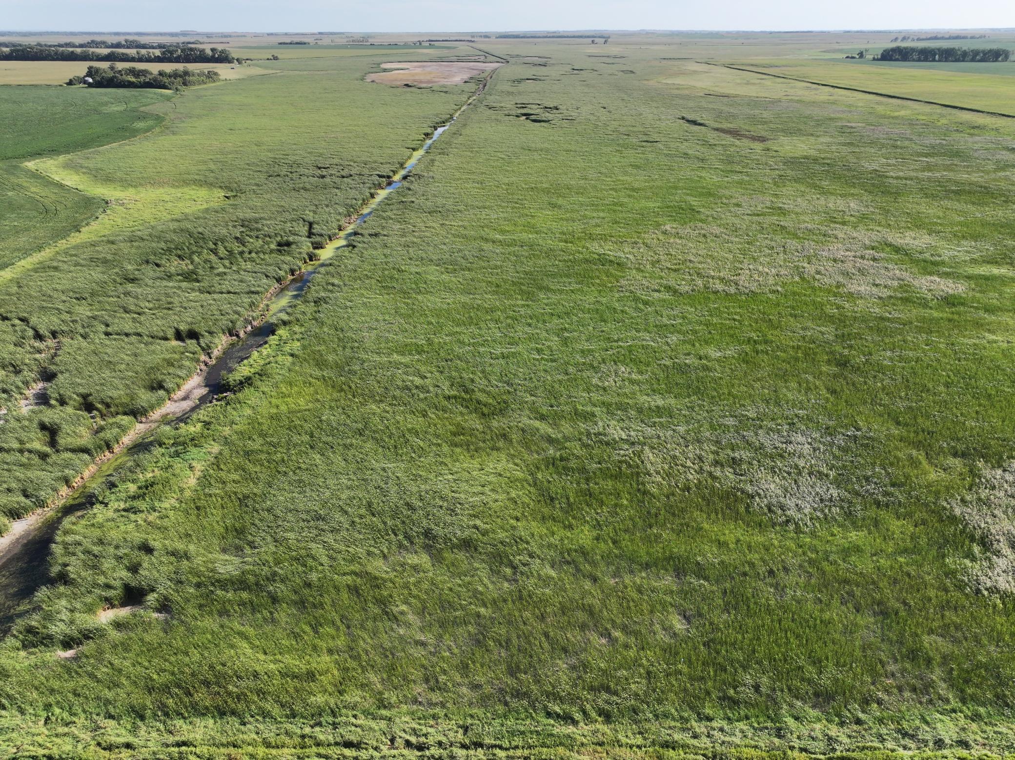 land for sale at TBD State Hwy 13 in Stirum, ND (photo 22 of 28)