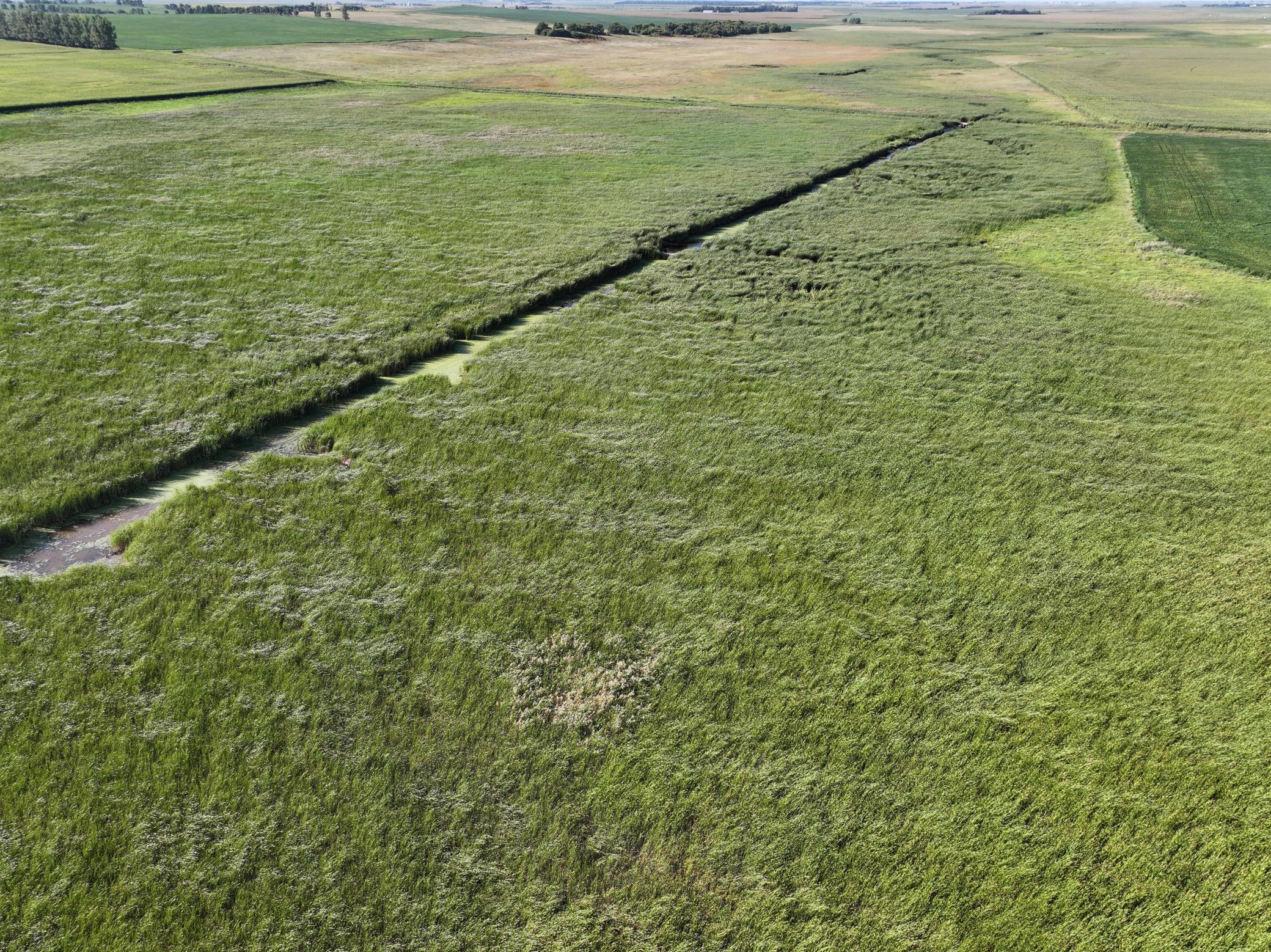 land for sale at TBD State Hwy 13 in Stirum, ND (photo 25 of 28)