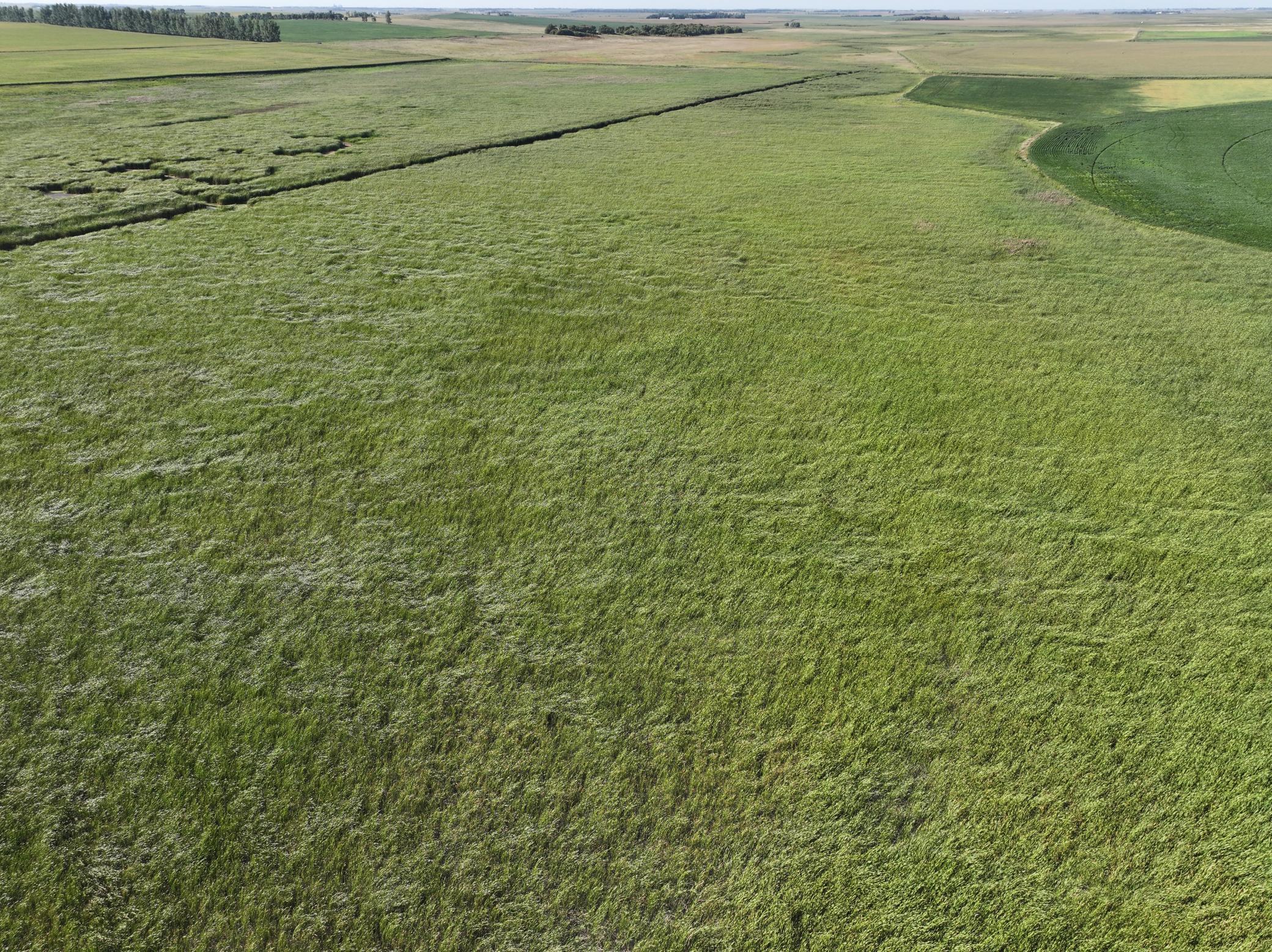 land for sale at TBD State Hwy 13 in Stirum, ND (photo 26 of 28)