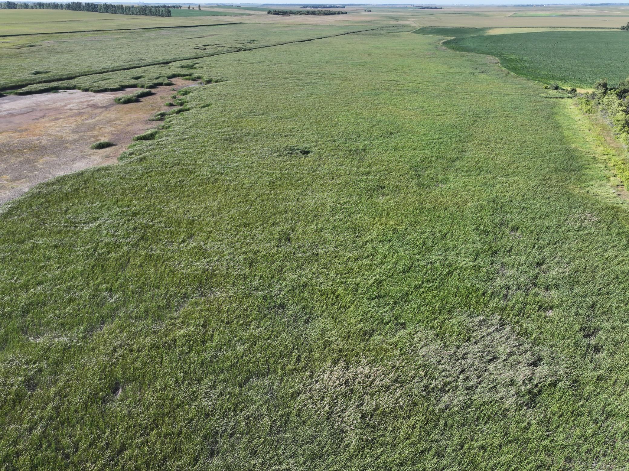 land for sale at TBD State Hwy 13 in Stirum, ND (photo 27 of 28)