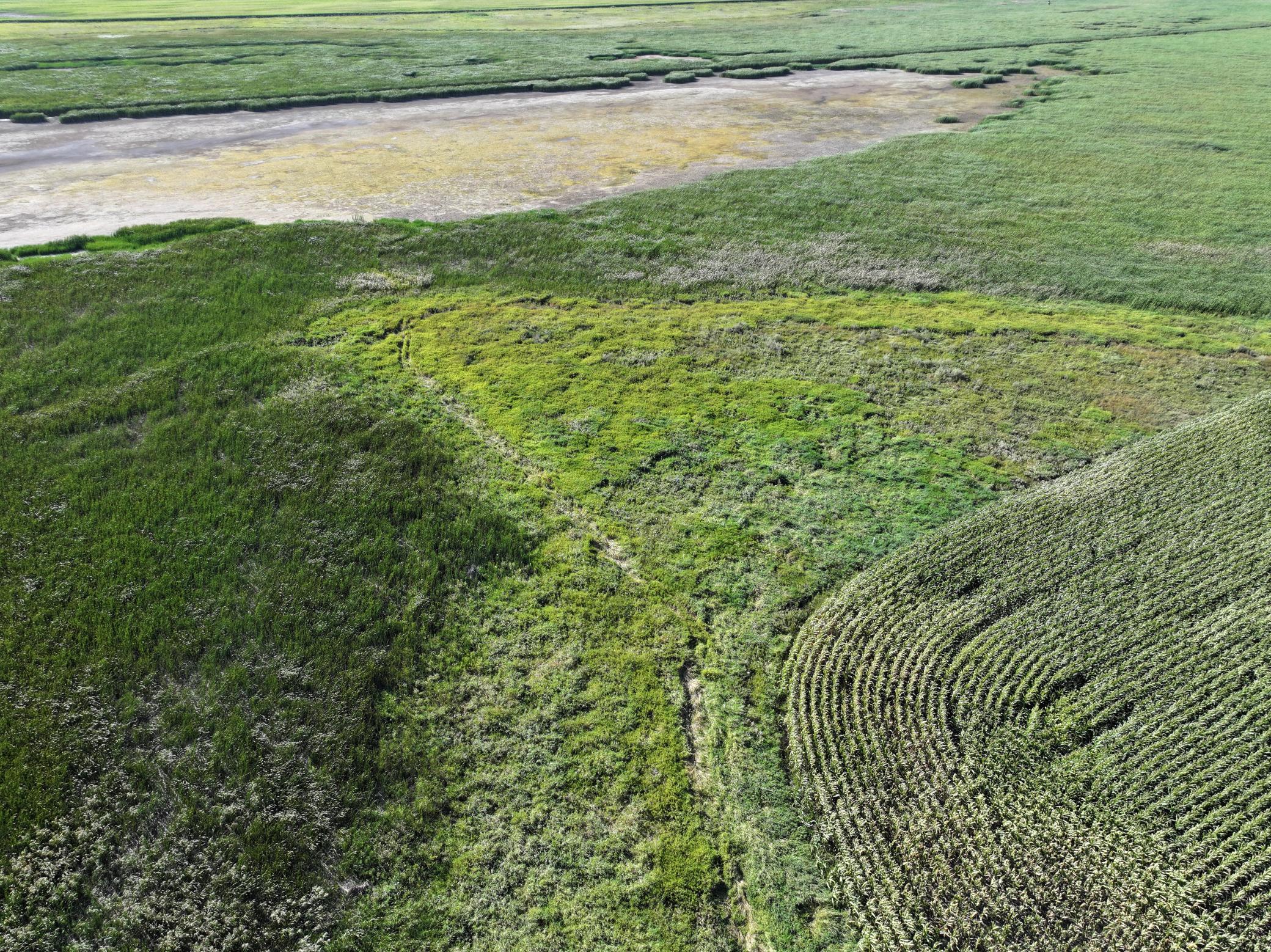 land for sale at TBD State Hwy 13 in Stirum, ND (photo 28 of 28)