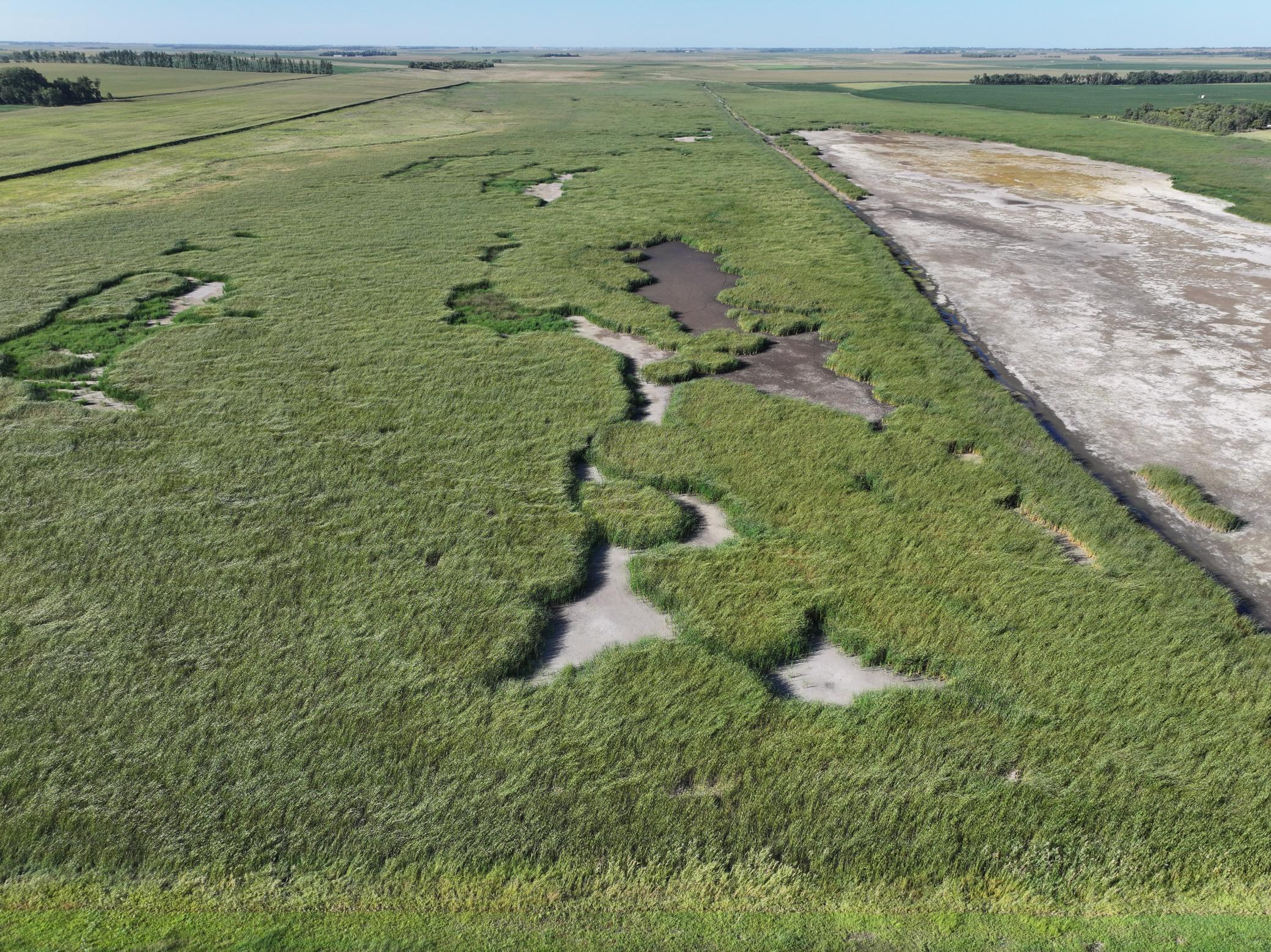 land for sale at TBD State Hwy 13 in Stirum, ND (photo 10 of 28)