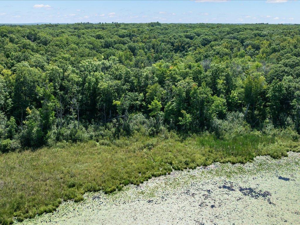 land for sale at Lot 2 Block 1 Guilford Road in Bay Lake Twp, MN (photo 11 of 31)