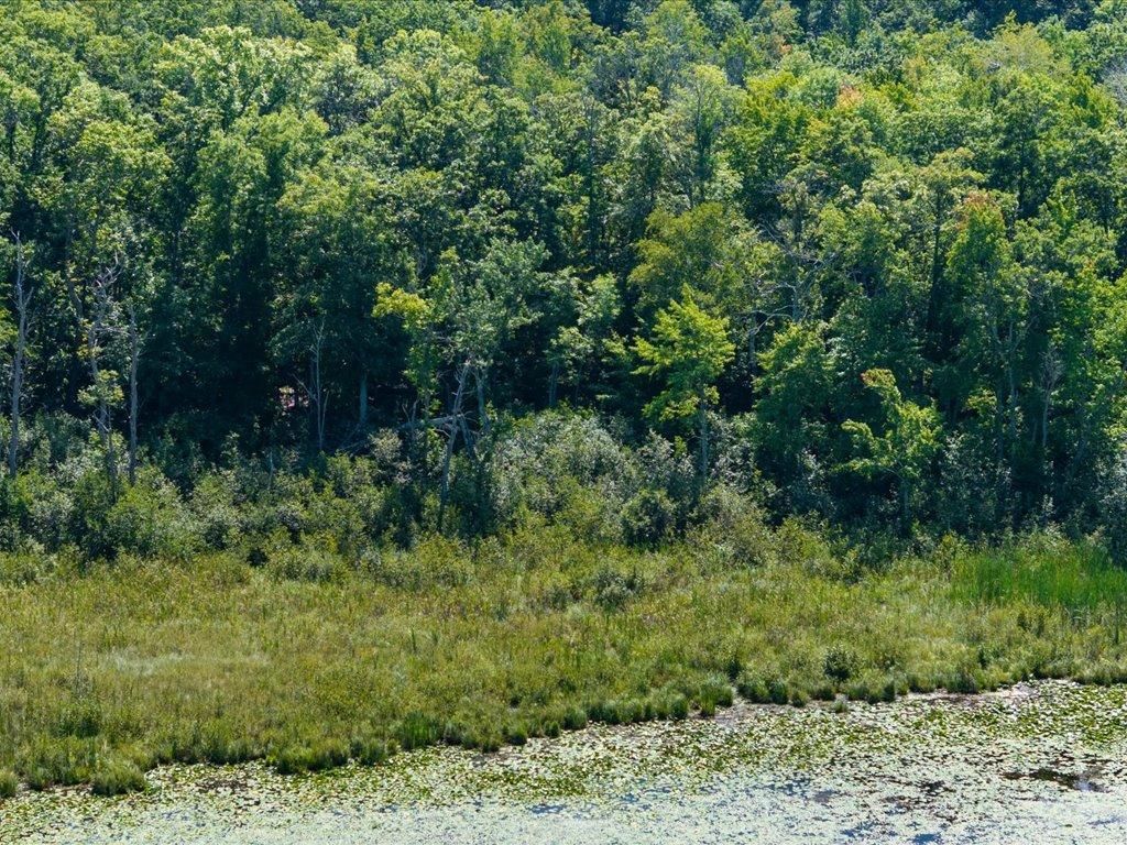 land for sale at Lot 2 Block 1 Guilford Road in Bay Lake Twp, MN (photo 12 of 31)