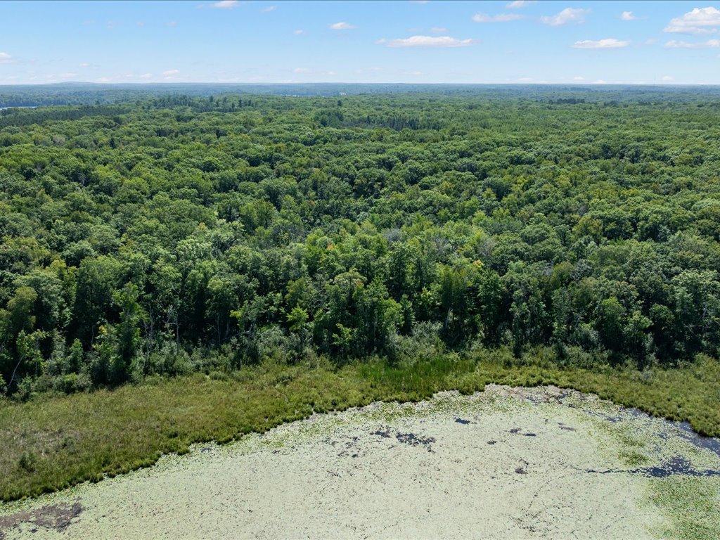 land for sale at Lot 2 Block 1 Guilford Road in Bay Lake Twp, MN (photo 13 of 31)
