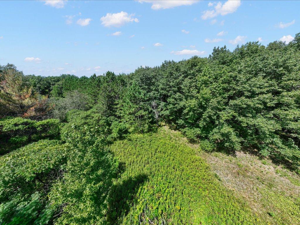 land for sale at Lot 2 Block 1 Guilford Road in Bay Lake Twp, MN (photo 14 of 31)