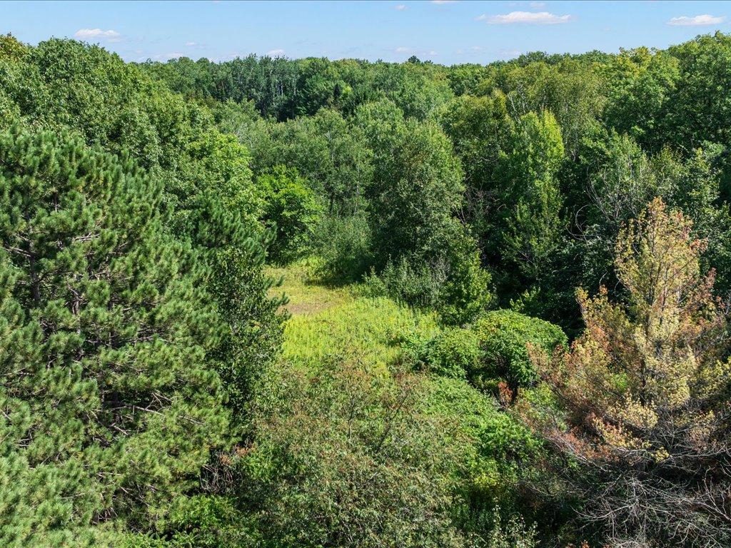 land for sale at Lot 2 Block 1 Guilford Road in Bay Lake Twp, MN (photo 15 of 31)