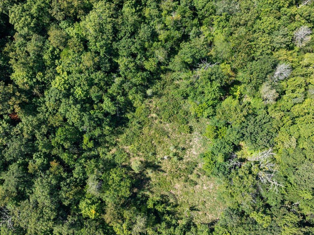land for sale at Lot 2 Block 1 Guilford Road in Bay Lake Twp, MN (photo 18 of 31)