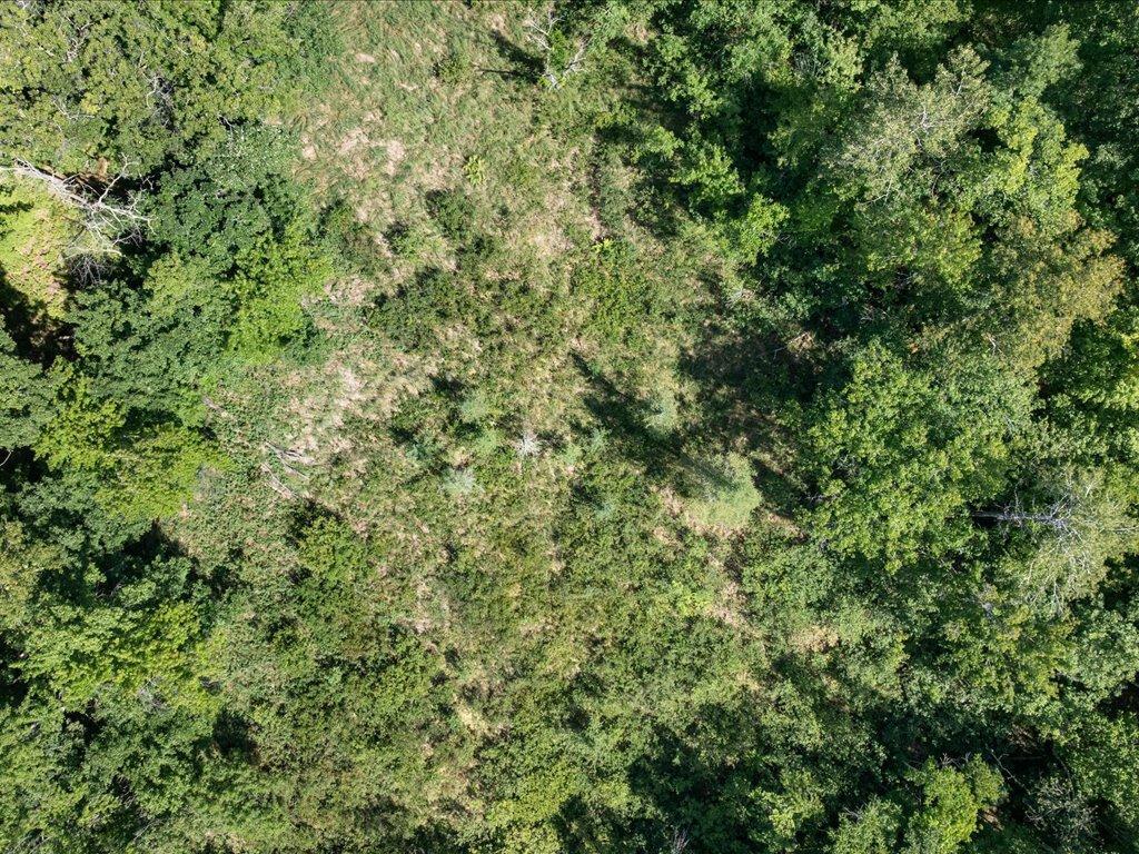 land for sale at Lot 2 Block 1 Guilford Road in Bay Lake Twp, MN (photo 19 of 31)