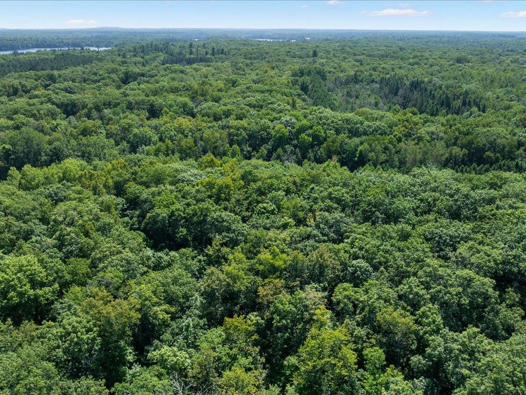 land for sale at Lot 2 Block 1 Guilford Road in Bay Lake Twp, MN (photo 20 of 31)