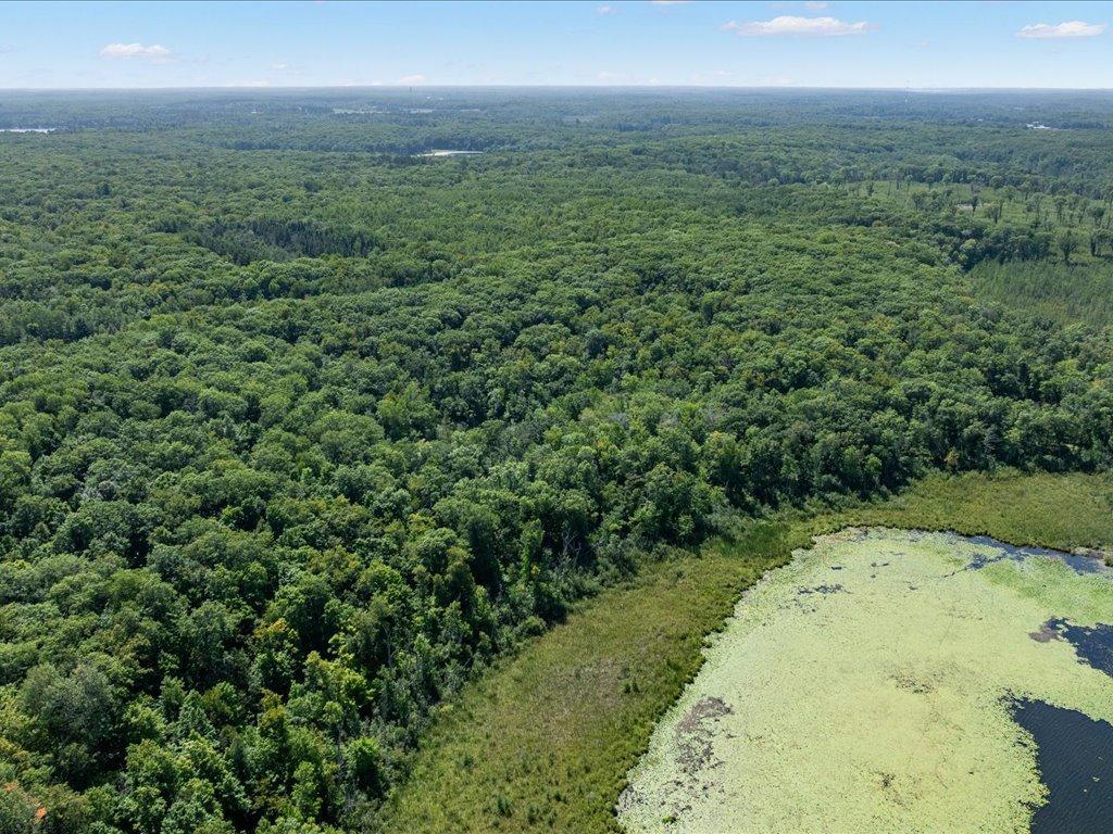 land for sale at Lot 2 Block 1 Guilford Road in Bay Lake Twp, MN (photo 23 of 31)