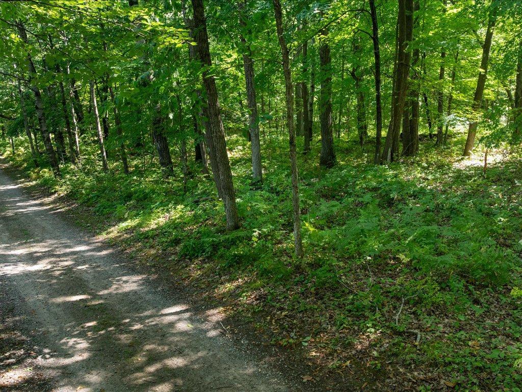 land for sale at Lot 2 Block 1 Guilford Road in Bay Lake Twp, MN (photo 24 of 31)