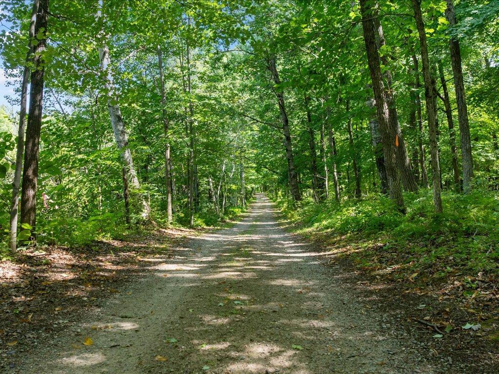 land for sale at Lot 2 Block 1 Guilford Road in Bay Lake Twp, MN (photo 25 of 31)