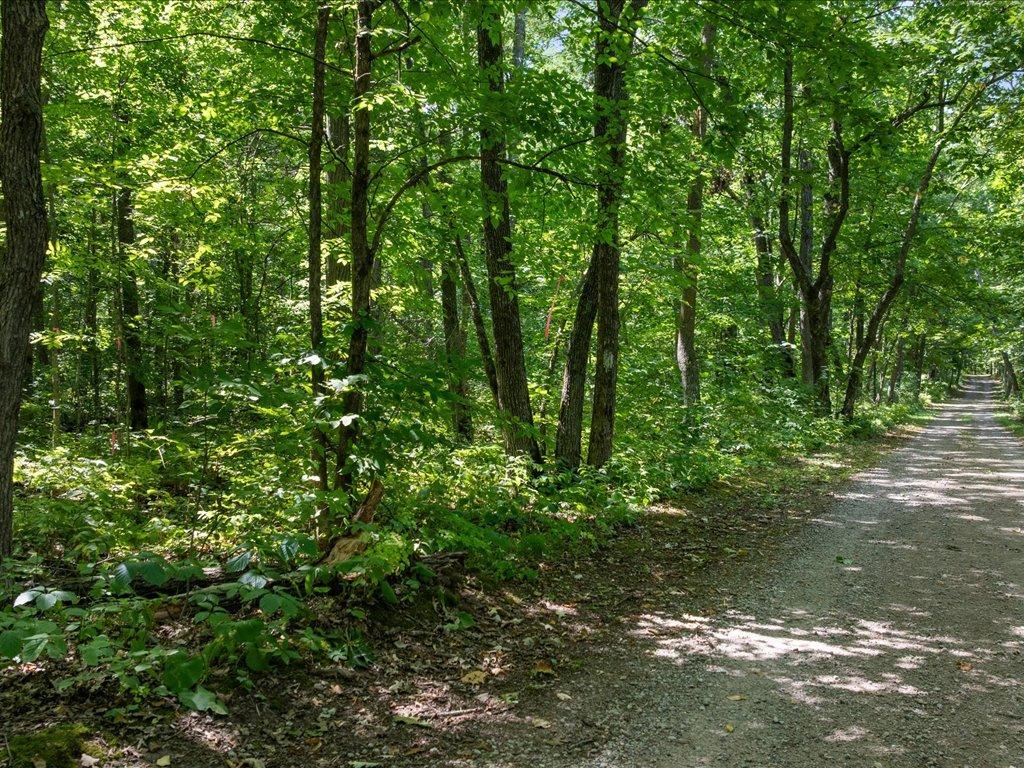 land for sale at Lot 2 Block 1 Guilford Road in Bay Lake Twp, MN (photo 27 of 31)