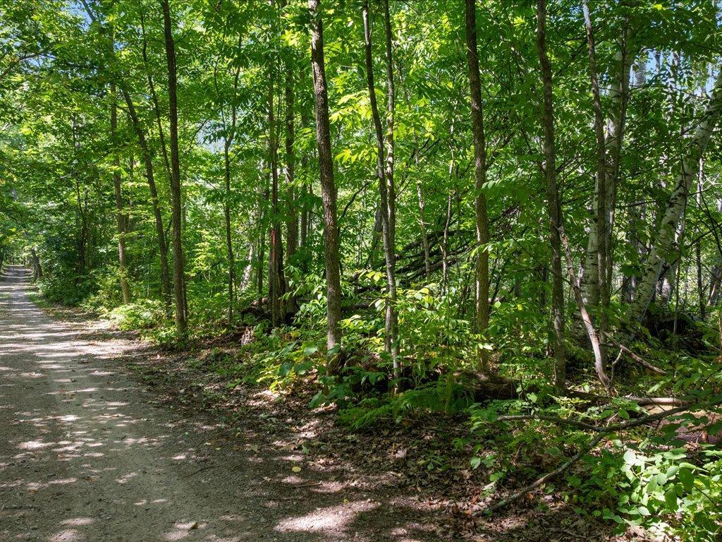land for sale at Lot 2 Block 1 Guilford Road in Bay Lake Twp, MN (photo 28 of 31)