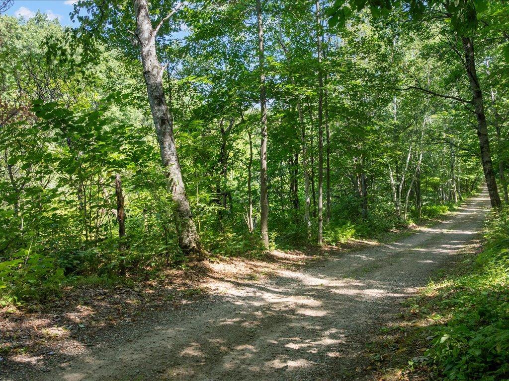 land for sale at Lot 2 Block 1 Guilford Road in Bay Lake Twp, MN (photo 29 of 31)