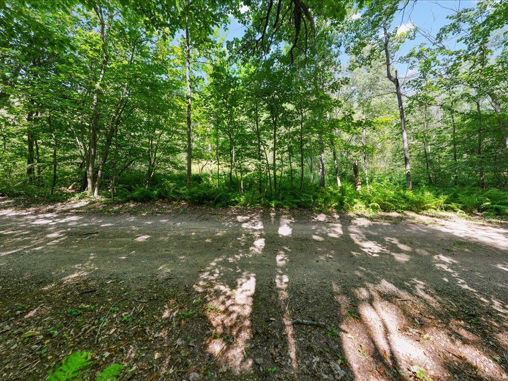 land for sale at Lot 2 Block 1 Guilford Road in Bay Lake Twp, MN (photo 30 of 31)