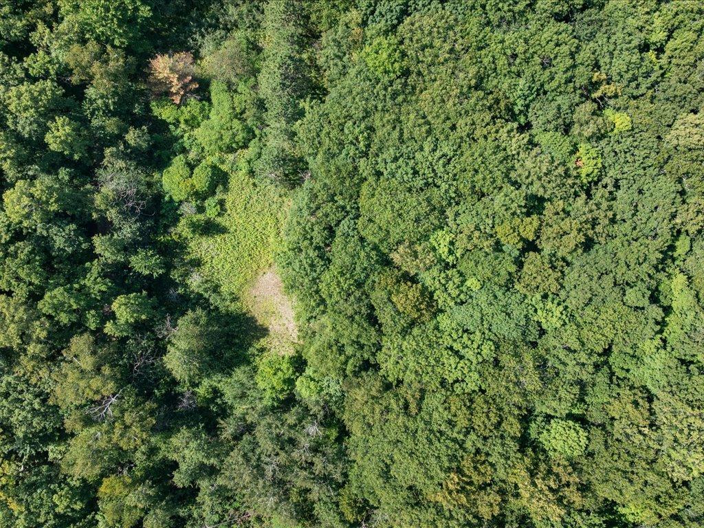 land for sale at Lot 2 Block 1 Guilford Road in Bay Lake Twp, MN (photo 7 of 31)