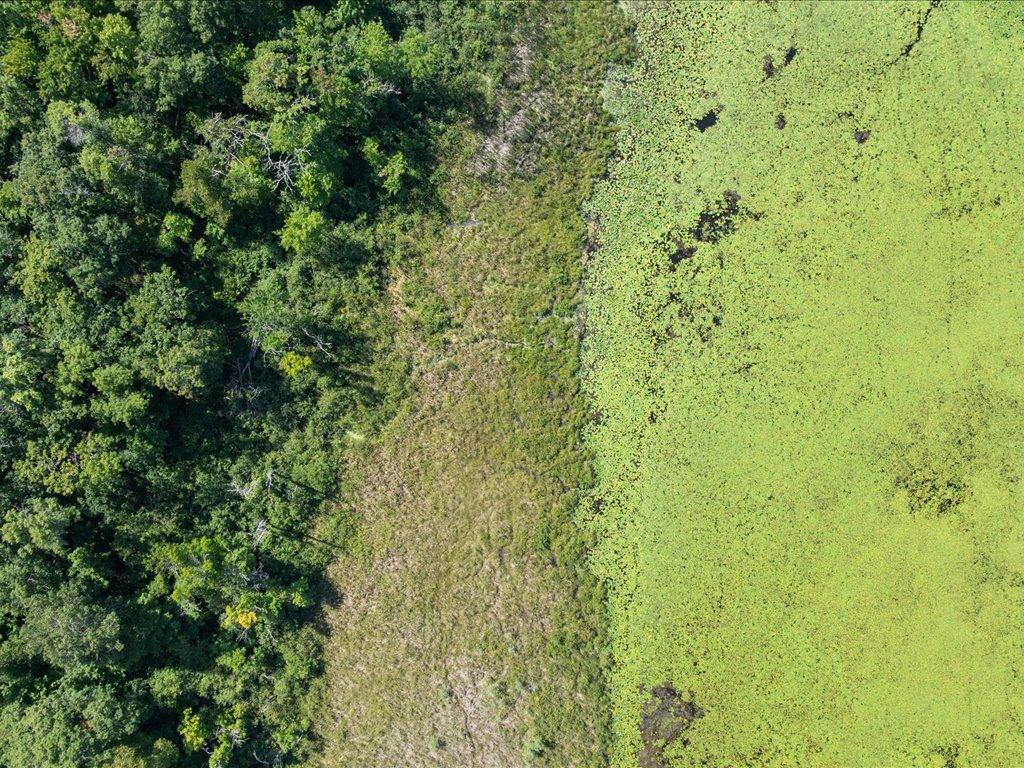 land for sale at Lot 2 Block 1 Guilford Road in Bay Lake Twp, MN (photo 8 of 31)