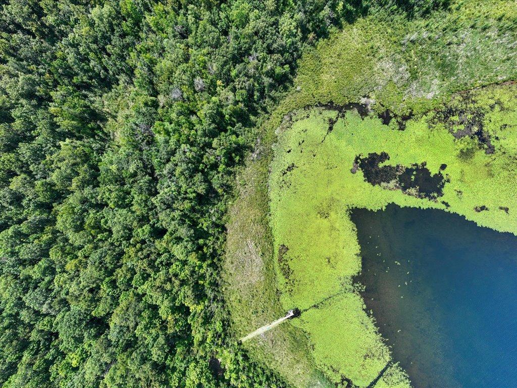 land for sale at Lot 2 Block 1 Guilford Road in Bay Lake Twp, MN (photo 9 of 31)