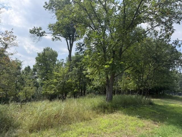 land for sale at TBD Breezy Point Boulevard in Breezy Point, MN (photo 3 of 8)