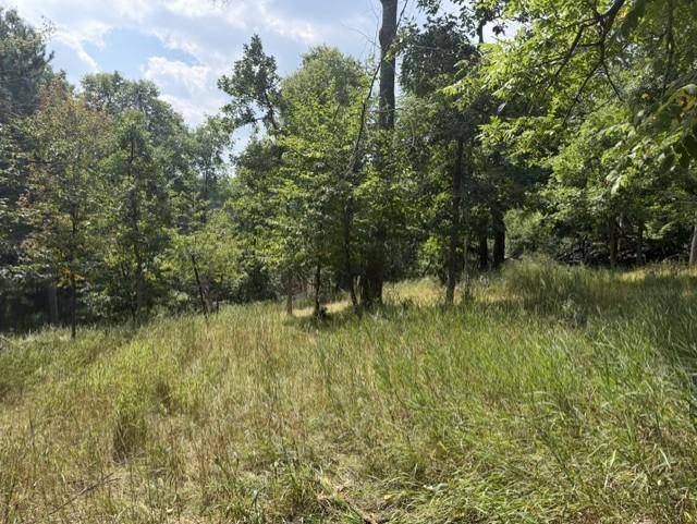 land for sale at TBD Breezy Point Boulevard in Breezy Point, MN (photo 4 of 8)