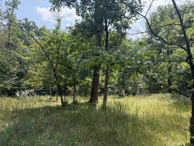 land for sale at TBD Breezy Point Boulevard in Breezy Point, MN (photo 5 of 8)