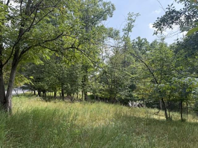 land for sale at TBD Breezy Point Boulevard in Breezy Point, MN (photo 6 of 8)