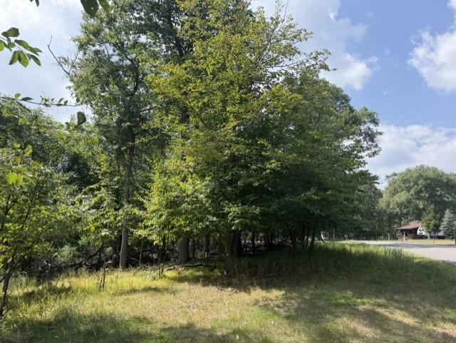land for sale at TBD Breezy Point Boulevard in Breezy Point, MN (photo 7 of 8)