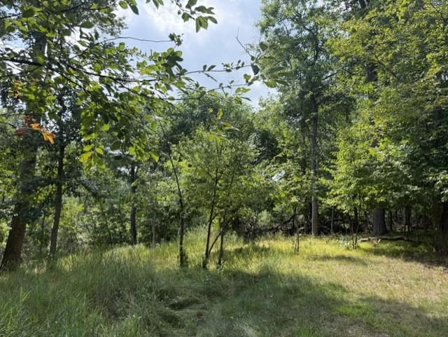 land for sale at TBD Breezy Point Boulevard in Breezy Point, MN (photo 8 of 8)
