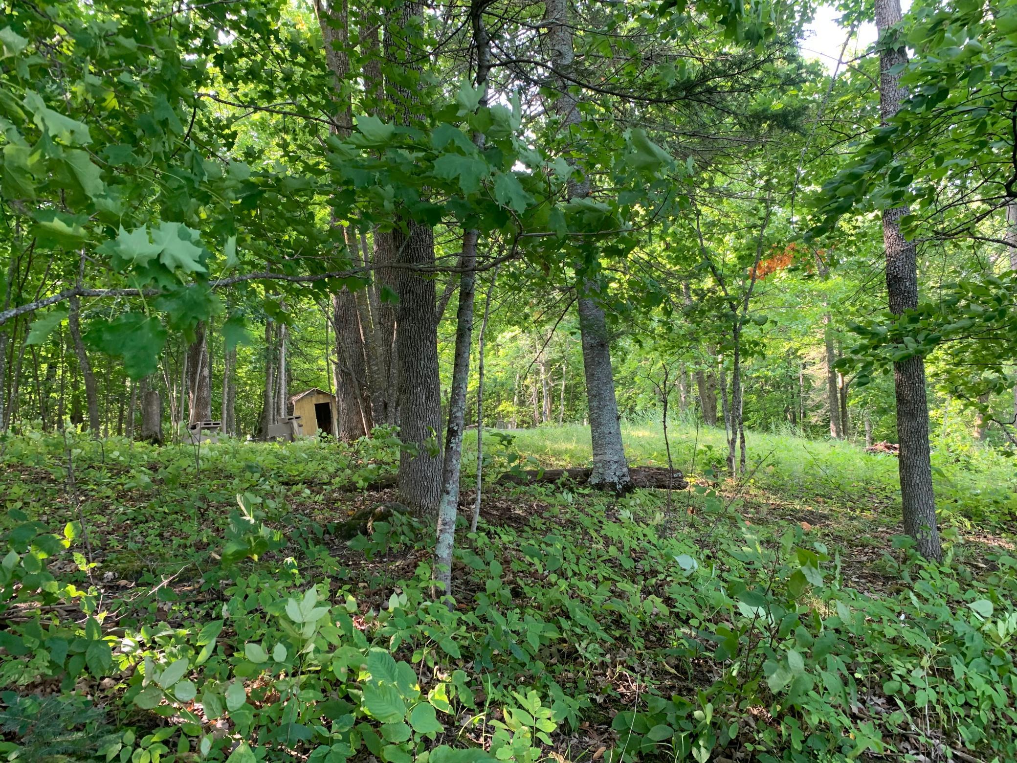 land for sale at 1888 Trillium Drive NW in Hackensack, MN (photo 2 of 4)
