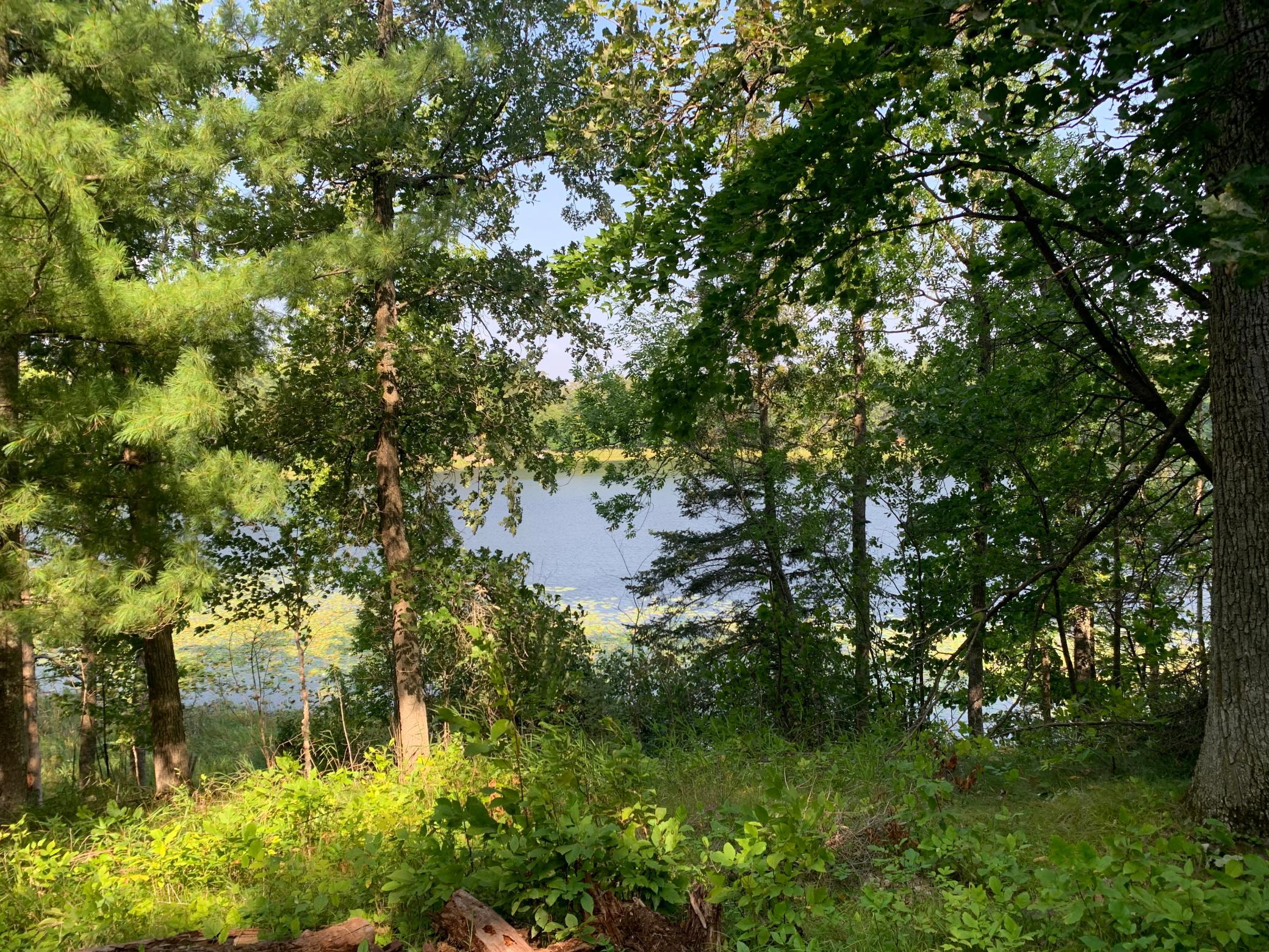 land for sale at 1888 Trillium Drive NW in Hackensack, MN (photo 3 of 4)