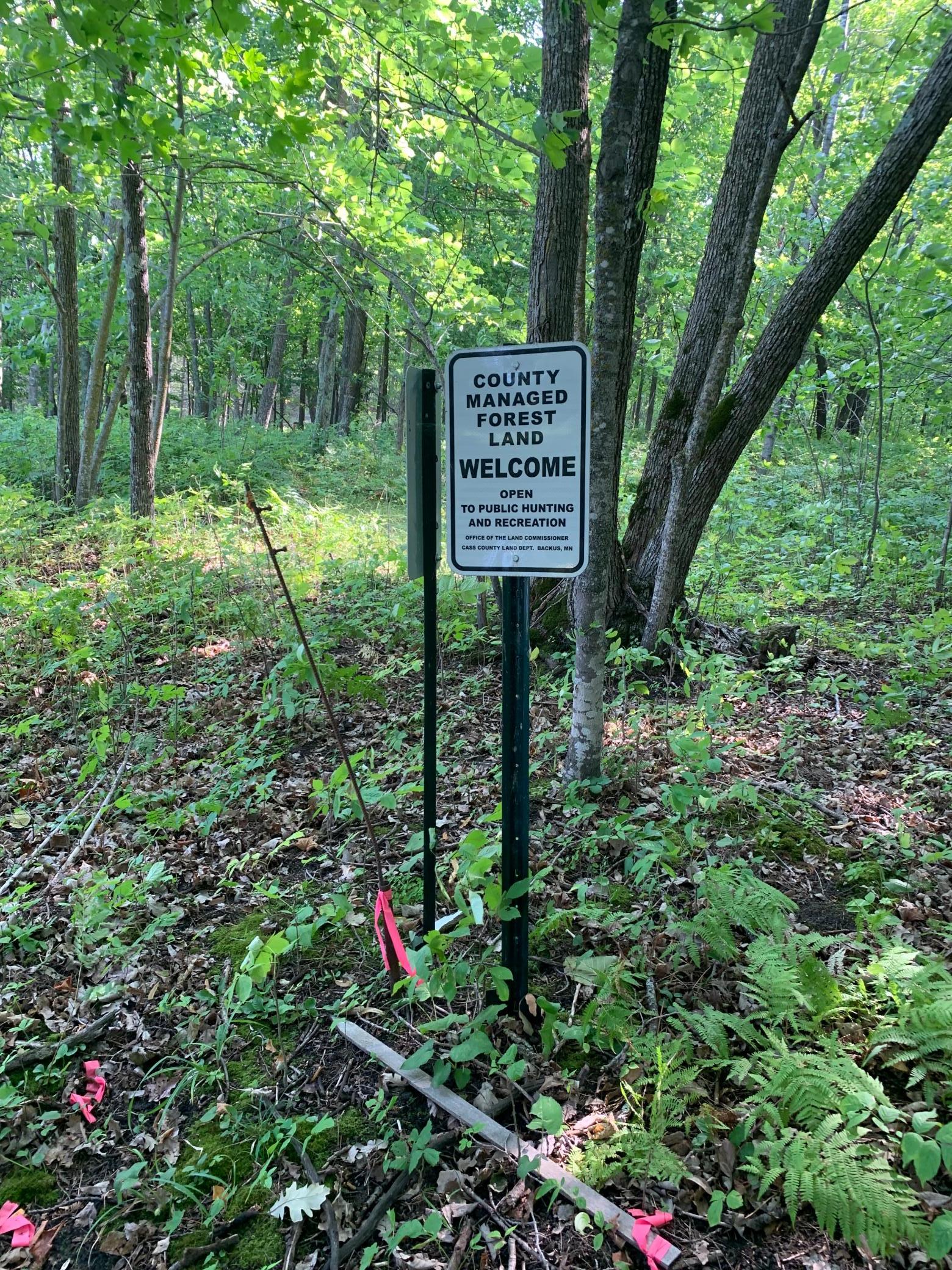 land for sale at 1888 Trillium Drive NW in Hackensack, MN (photo 4 of 4)