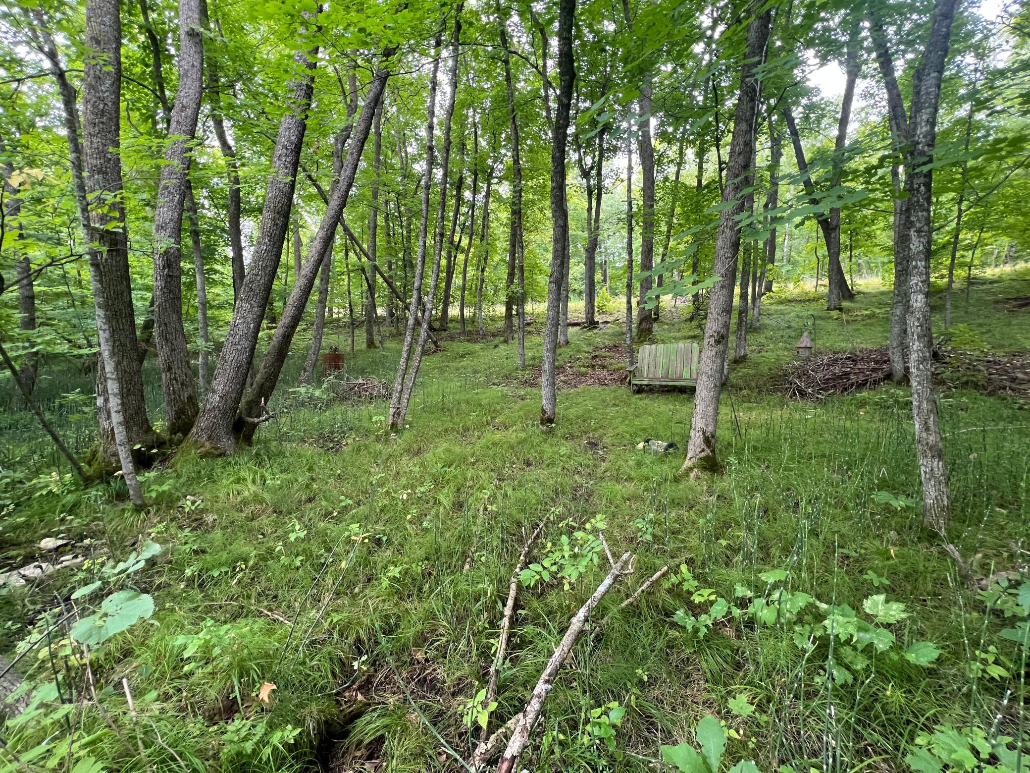 land for sale at TBD Misty Trl in Richville, MN (photo 11 of 15)