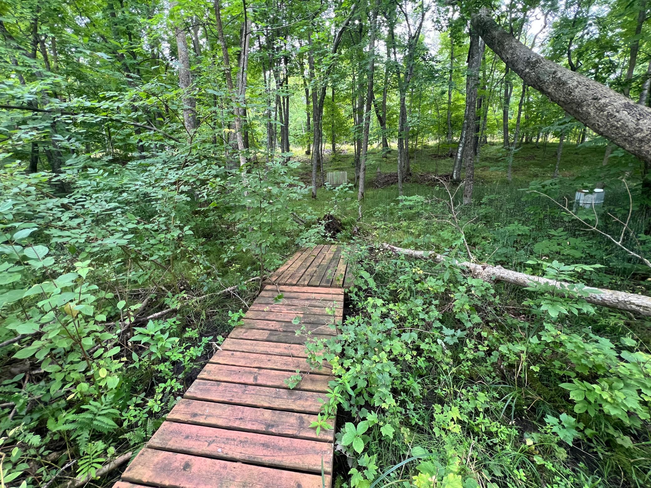 land for sale at TBD Misty Trl in Richville, MN (photo 12 of 15)