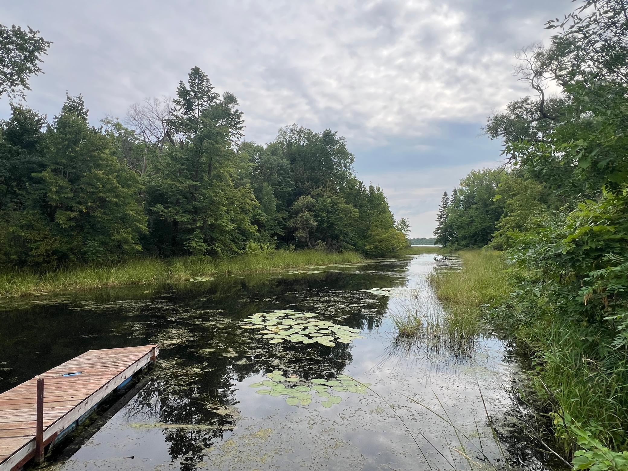 land for sale at TBD Misty Trl in Richville, MN (photo 14 of 15)