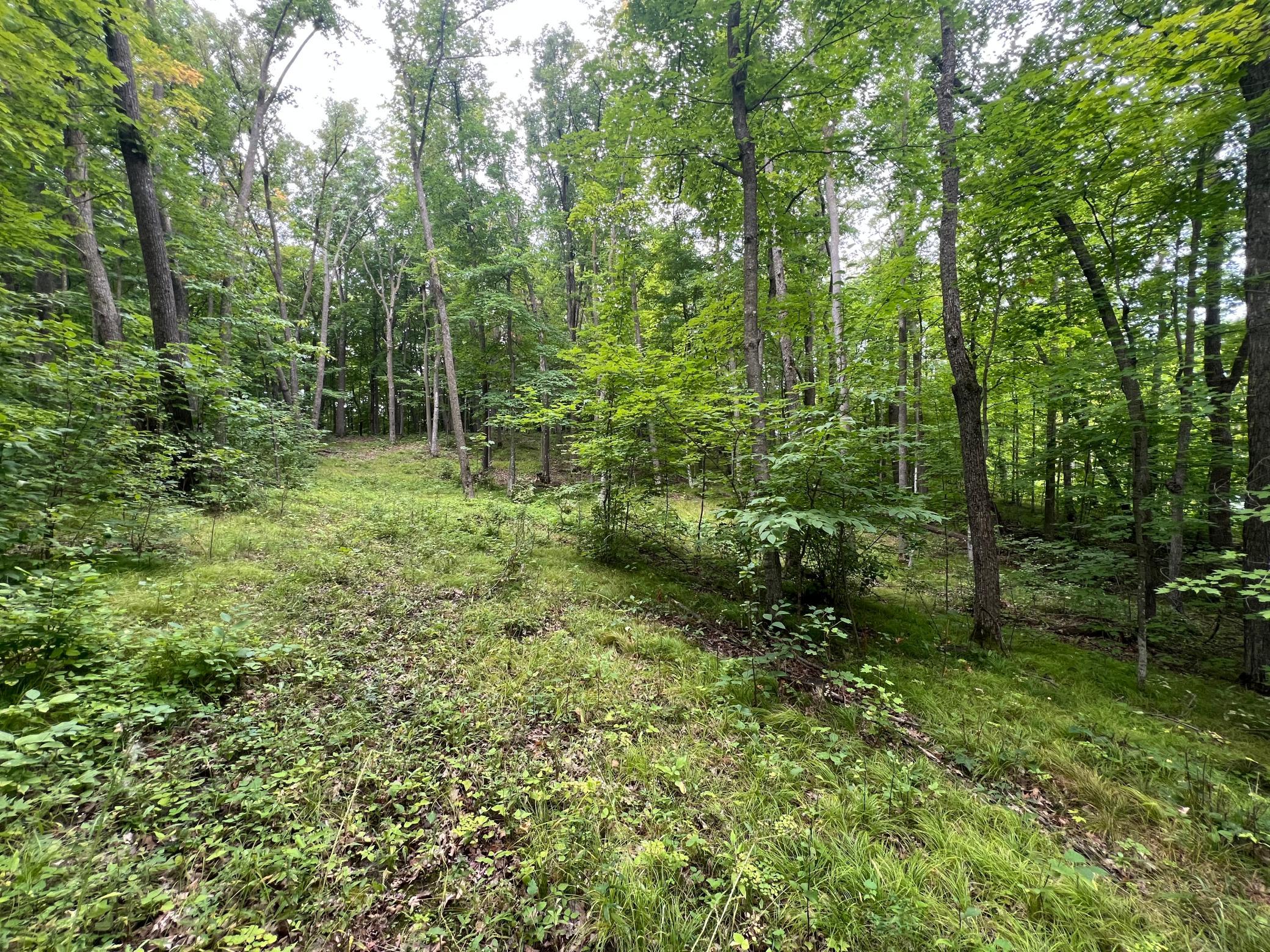 land for sale at TBD Misty Trl in Richville, MN (photo 9 of 15)
